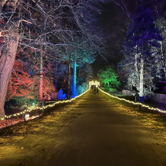 Windsor Illuminated